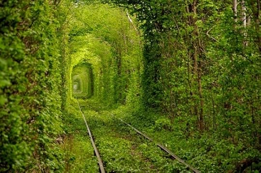 greentunnel