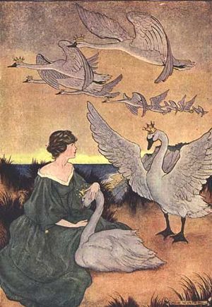 Wild Swans by Milo Winter