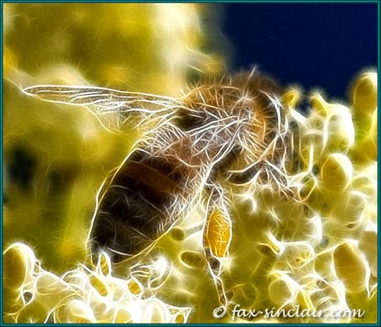 Bee Fractalius 3 by nature photographer Fax Sinclair.