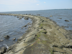 North Carolina seawall