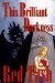 This Brilliant Darkness by Red Tash