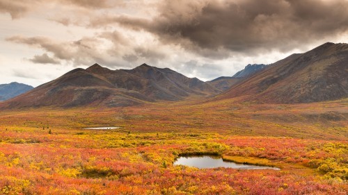 20130905-Yukon-6614