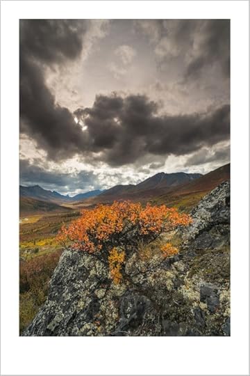 duchemin-20130905-Yukon-6598