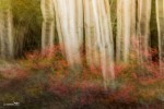 20130902-untitled-3734
