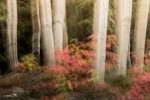 20130902-untitled-3772