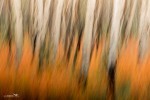 20130901-Yukon-2013-3100