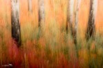 20130901-Yukon-2013-3068