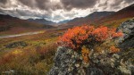 20130905-Yukon-6587