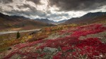 20130905-Yukon-6569