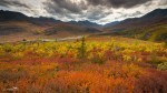 20130905-Yukon-6544