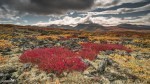 20130904-Yukon-6118-Edit