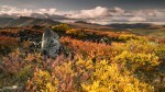 20130904-Yukon-6012