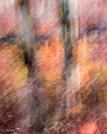 20130829-Yukon-2013-2461