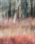 20130829-Yukon-2013-2301
