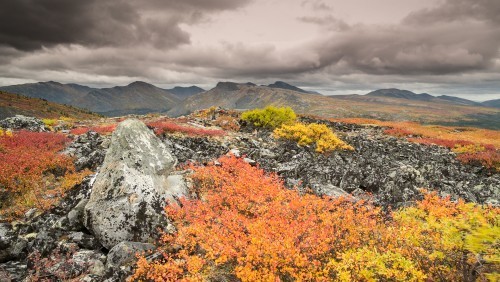 20130903-Yukon-4692