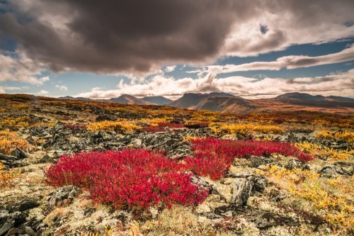 20130904-Yukon-6116