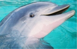 Each worldview is its own universe.