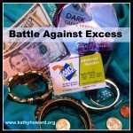 Excess, The 7 Experiment