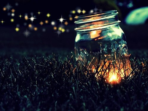 fireflies Goodreads Thingymajagger, Pinterest Thingamabobdylan, and a Giveaway!