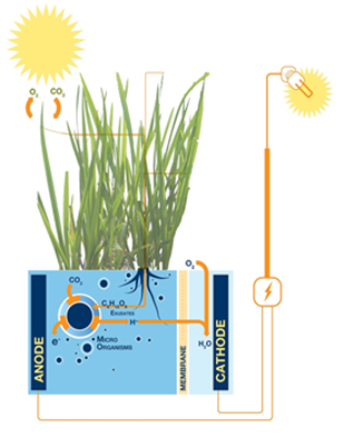 Inventions Thomas Edison Would Love: Green Grass, Green Electricity