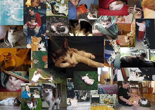 Happy memories of Hattie, beloved family pet 1996-2013 (photo credits: Abigail Robinson)