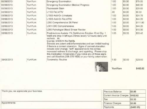 photo of Yum Yum's vet bill