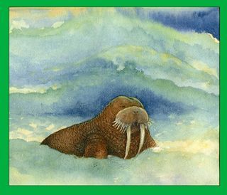 Walrus2