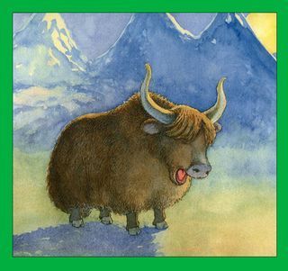 Yak yawns 2