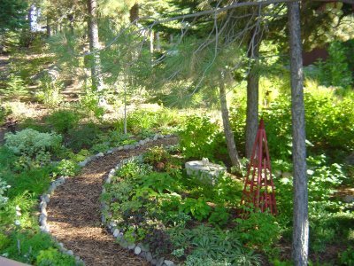 DW Garden path