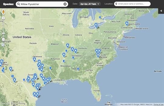 Empidonax_traillii_ebird_Screen-Shot-2013-04-10-at-3.35.45-PM