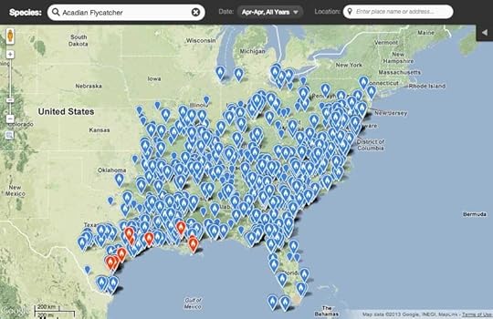 Empidonax_virescens_ebird_Apr_Screen-Shot-2013-04-10-at-3.36.58-PM