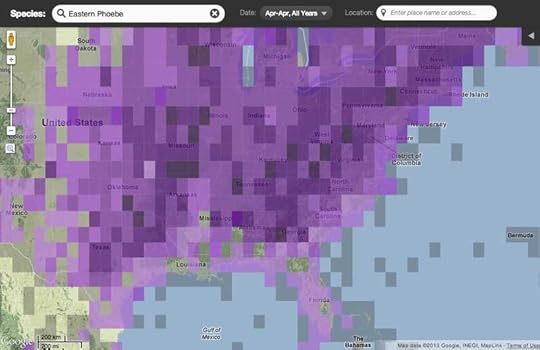 Sayornis_phoebe_ebird_Screen-Shot-2013-04-10-at-3.38.39-PM