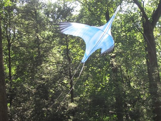 A Celebration of Flight