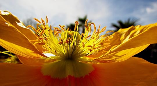 Life is amazing, be sure to show up!