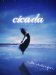 Cicada by Belle Whittington