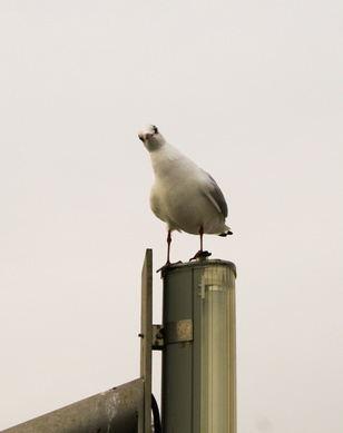 © Benji87 - Fotolia.com