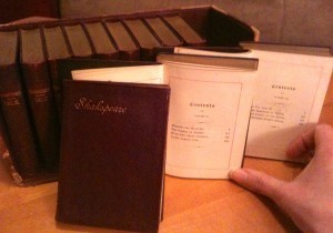 Shakespeare in Miniature
