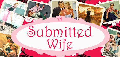 How to be the Perfect House Wife (2)