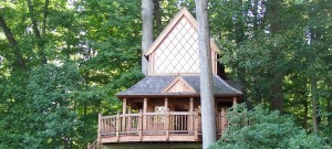 Treehouse