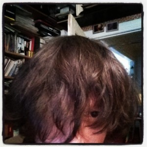 Get a haircut Max!