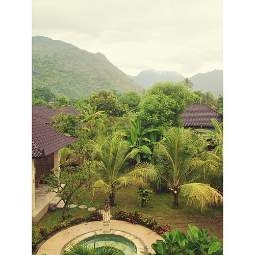 What I woke up to this morning! Hello Bali! It's currently 8am, Sat morn. Grateful for the very long, but safe journey here. It's BEAUTIFUL.