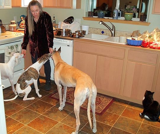 Chicken skin love with Mandy, Connor, Ziggy & Gilly Girl