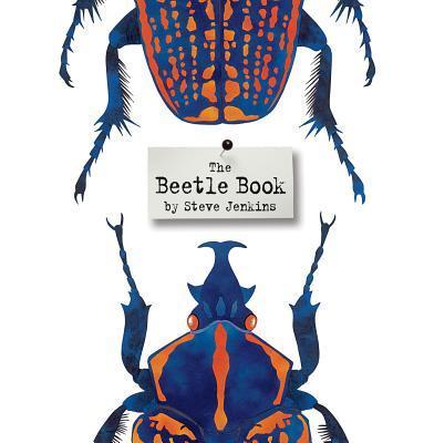 beetle book image