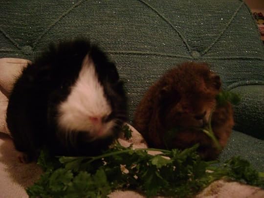 Thaddeus and Pammy bicker like they could have been Leonard characters.