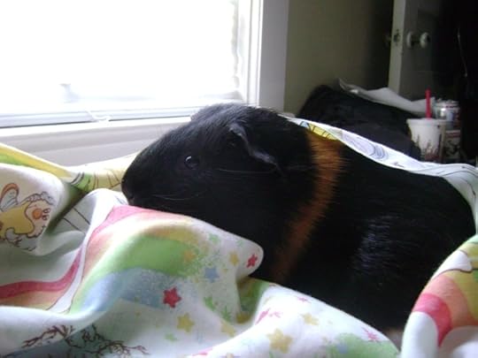 As a fan of plagues in general, the fast zombies or infected people who can still talk don't totally bother me... but I will always have a special place in my heart for the shamblers. They're the ones I want for my own apocalypse.