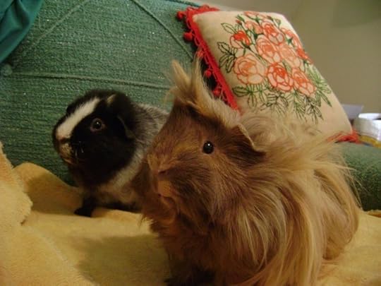 Damn it, Simmons! Duane was the best character! However, the priest thing reminded me of Cemetery Man, so I'll return some points for that.