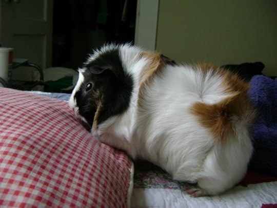 I'm tired of not being in the same place as Mr. Cheese.