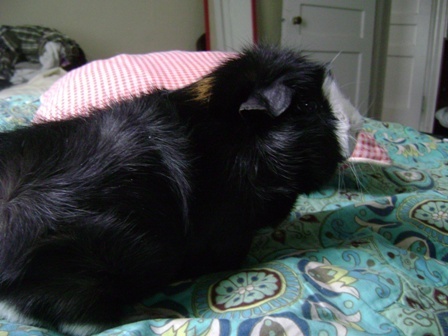 I will also accept a position at Darkplace hospital, provided there are no smells. 