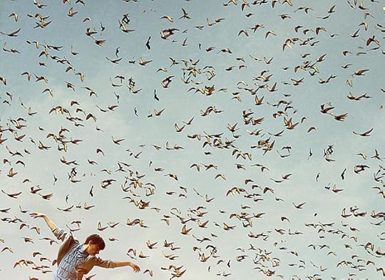 Photo by Phillip Schumacher