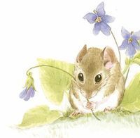 Mousekin by Edna Miller